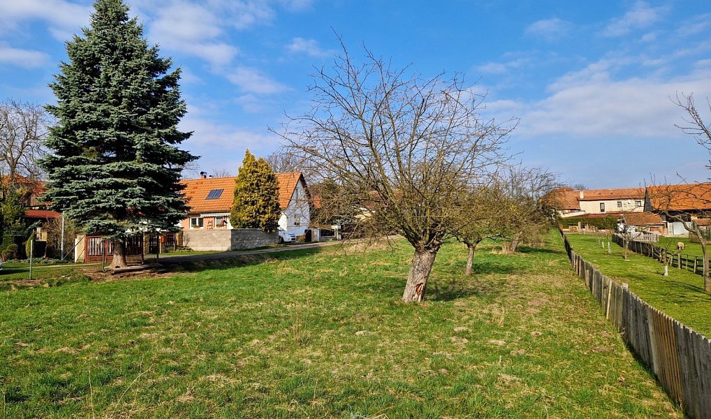 Prodej stavebního pozemku 3 476 m², Dětenice – náhled fotky 8