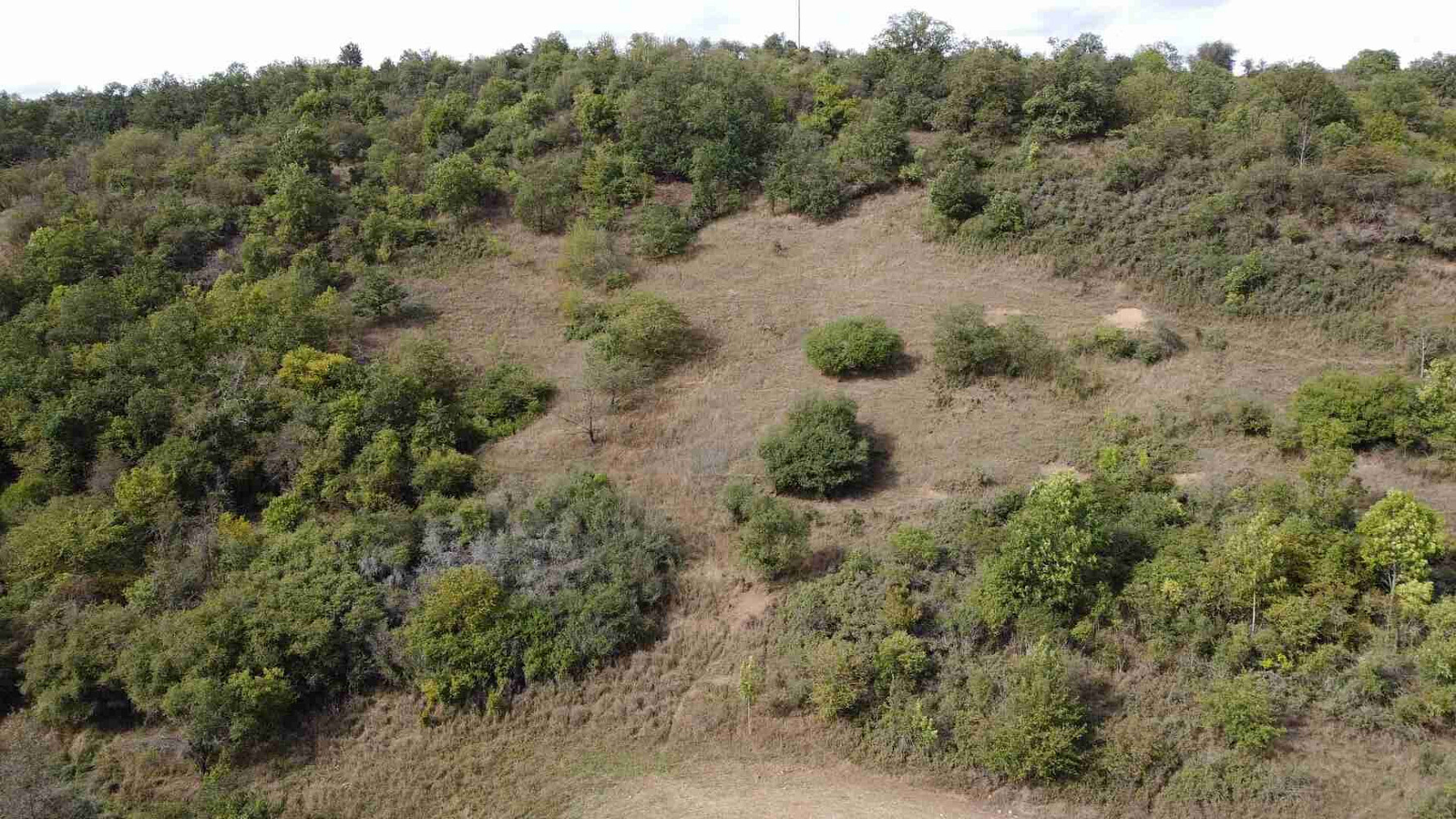 Prodej pole 22 441 m²