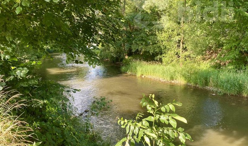 Prodej zahrady 306 m², Dvůr Králové nad Labem – náhled fotky 6