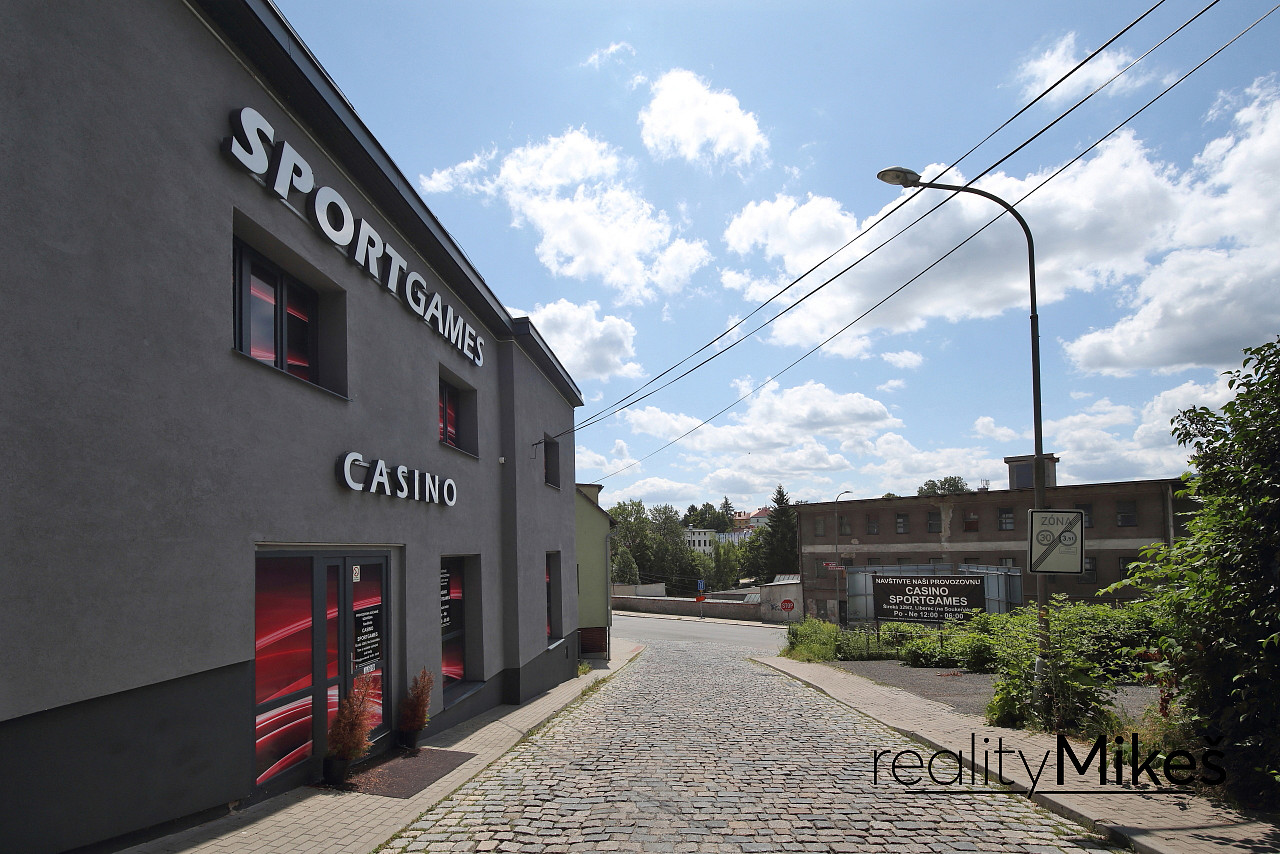 Pronájem obchodních prostor 351 m² - Widok 6