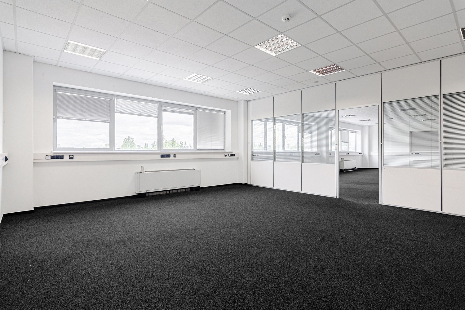 Pronájem kanceláře 225 m² – fotografie 4
