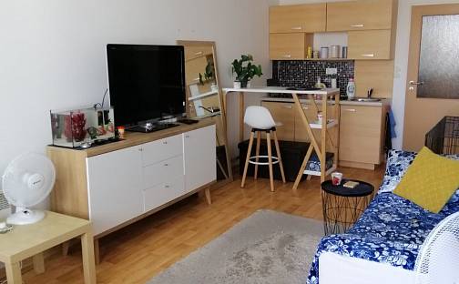 Pronájem bytu 1+kk 26 m², Kavaleristů, Olomouc - Hodolany