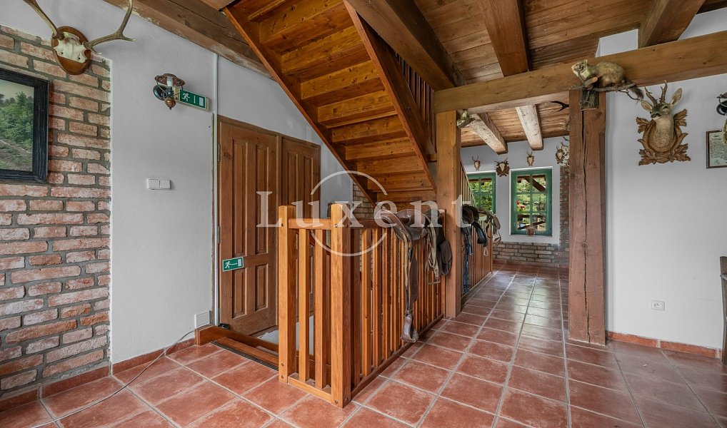 Prodej domu 1 700 m² s pozemkem 110 000 m², Stříbrná Skalice – náhled fotky 13