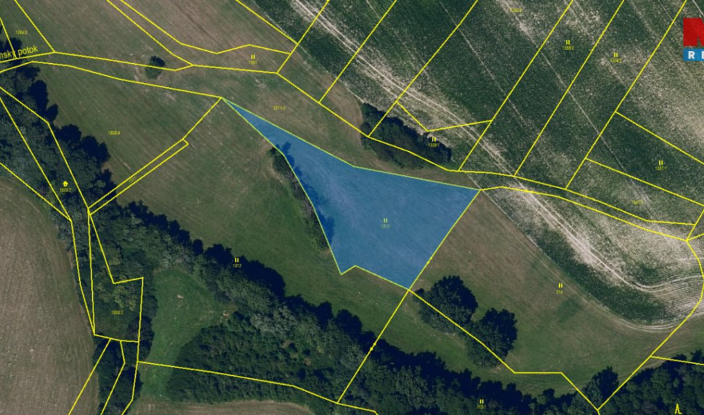 Prodej louky 3 101 m², Skuteč – náhled fotky 3