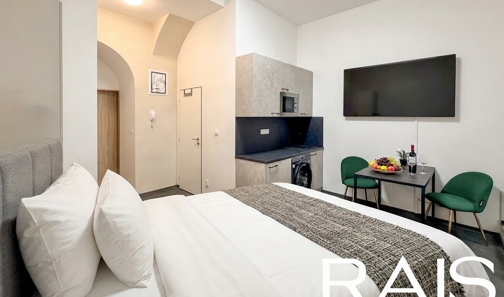 Prodej bytu 1+kk 33 m², Brno – náhled fotky 2