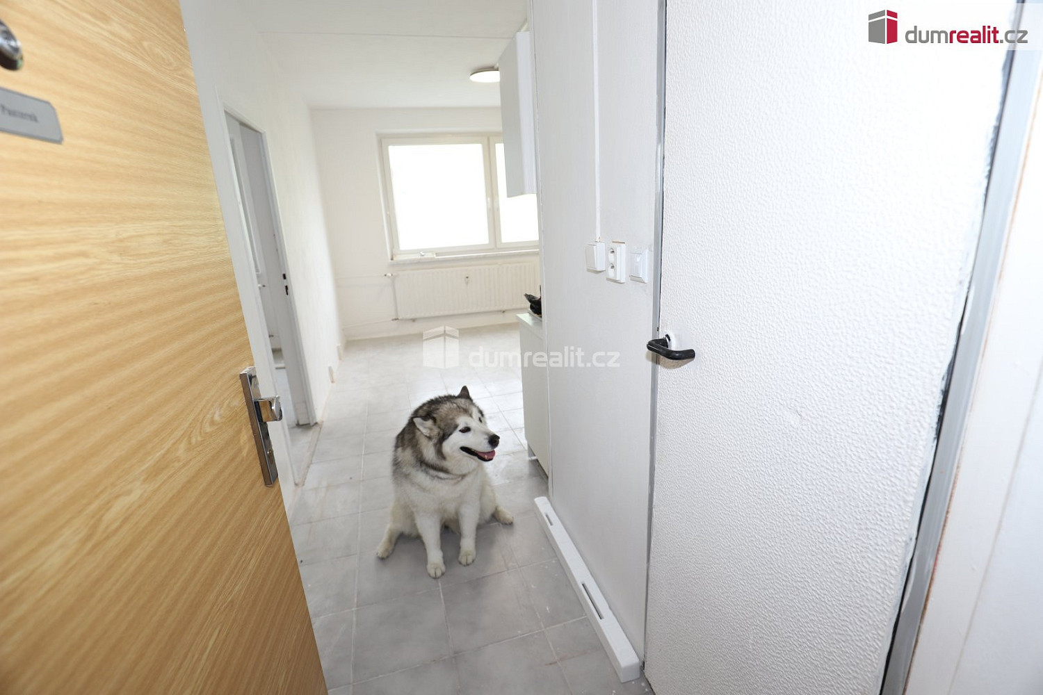 Pronájem bytu 1+1 36 m² — photo 4