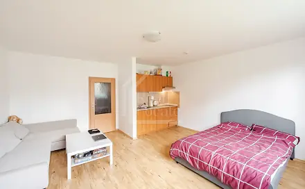 Pronájem bytu 1+kk 37 m²