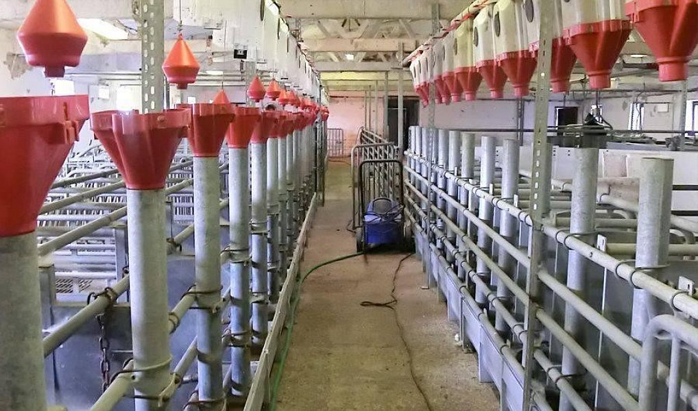 Prodej zemědělského objektu 2 000 m², Majdalena – náhled fotky 12