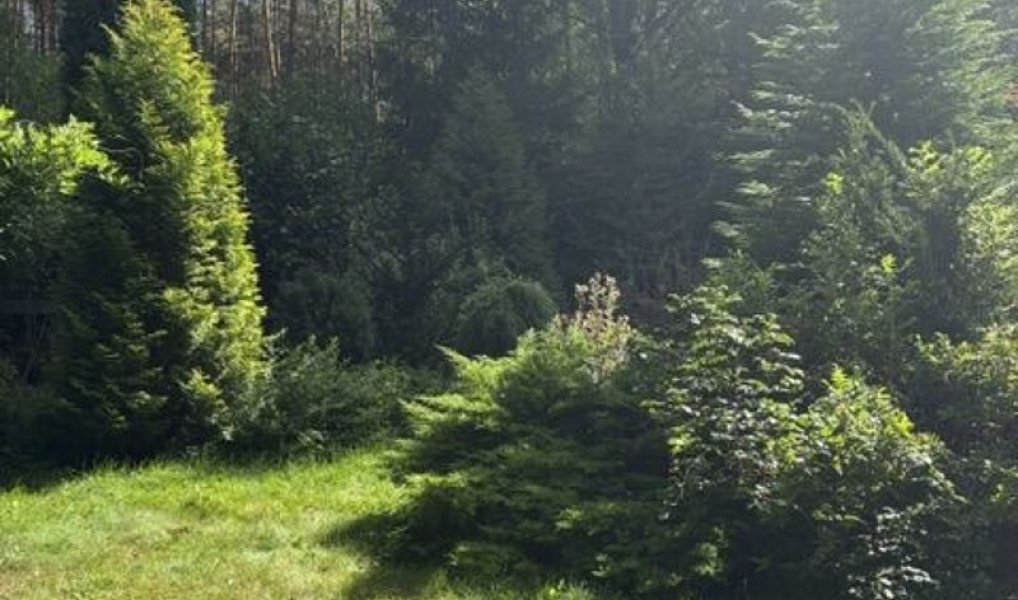 Prodej domu 50 m² s pozemkem 825 m², Veselíčko – náhled fotky 2