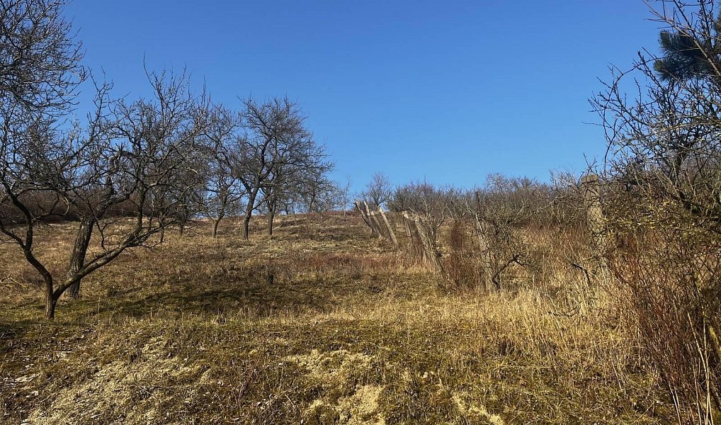 Prodej domu 47 m² s pozemkem 2 956 m², Trnovany – náhled fotky 16