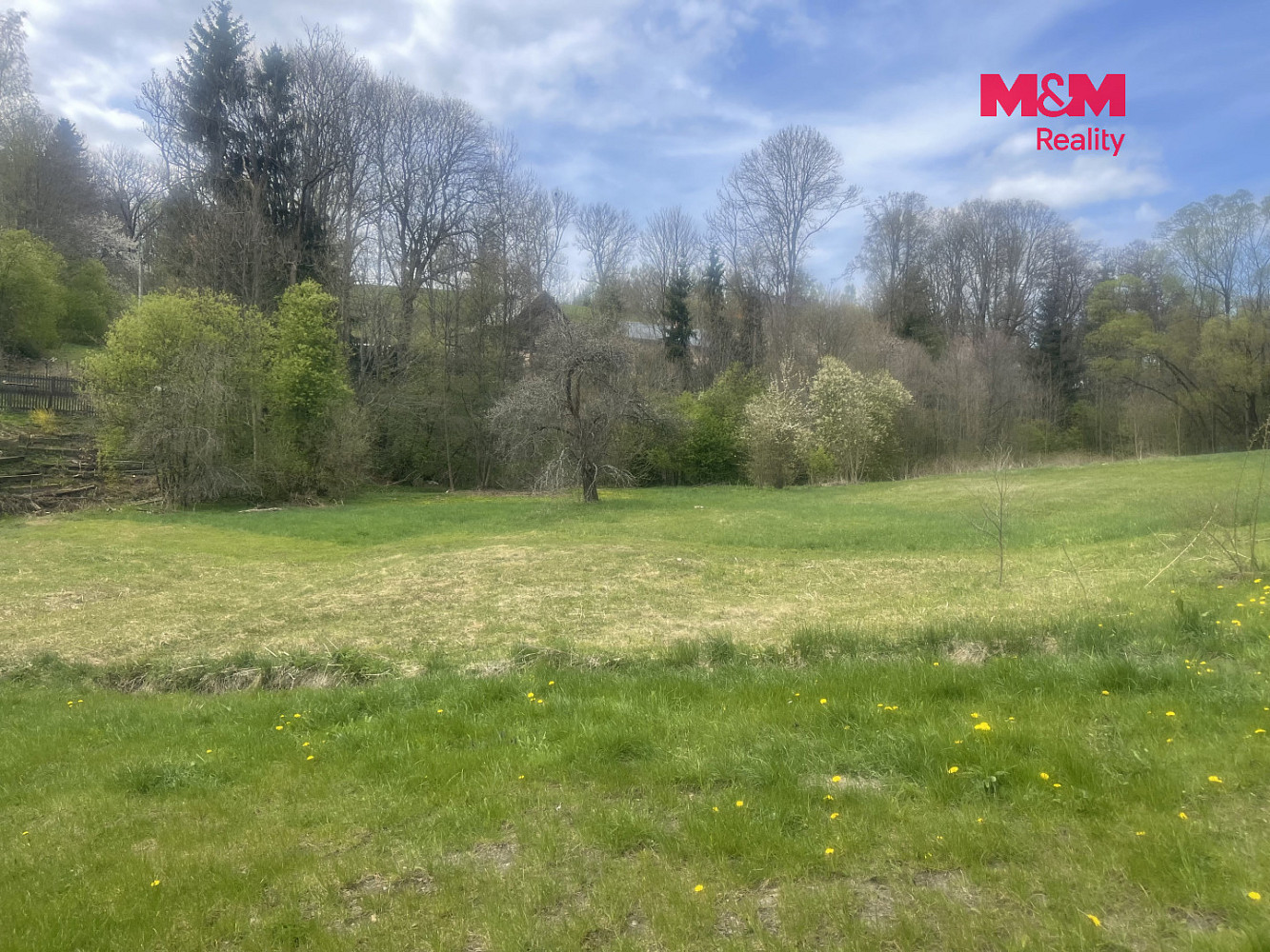 Prodej louky 3 984 m² – fotografie 2