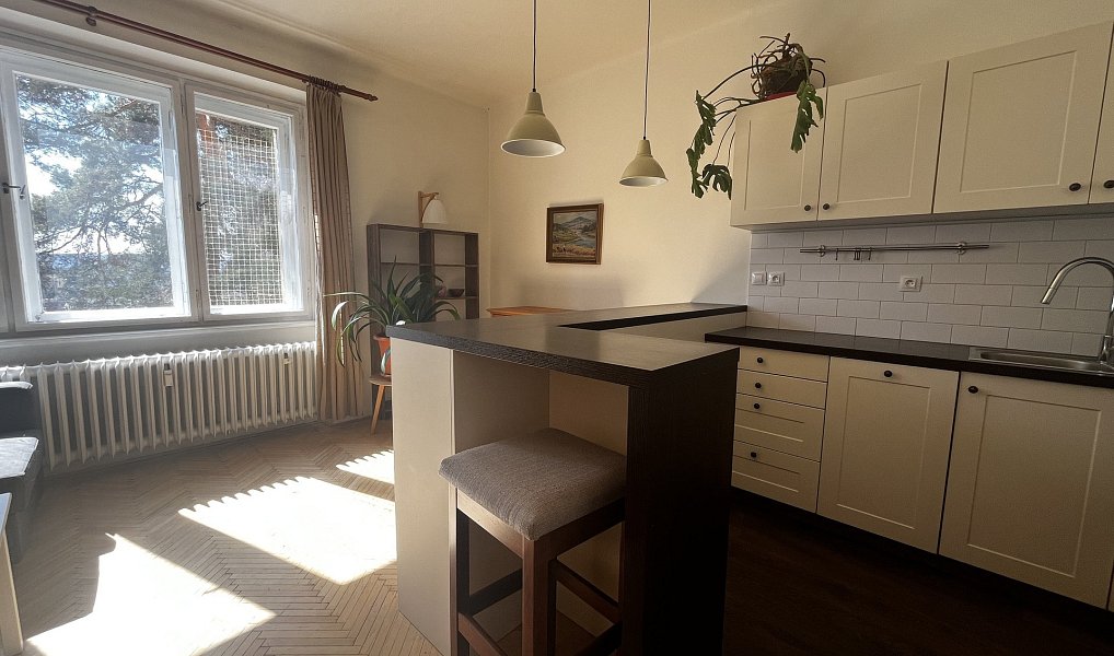 Pronájem bytu 3+kk 67 m², Praha – náhled fotky 6