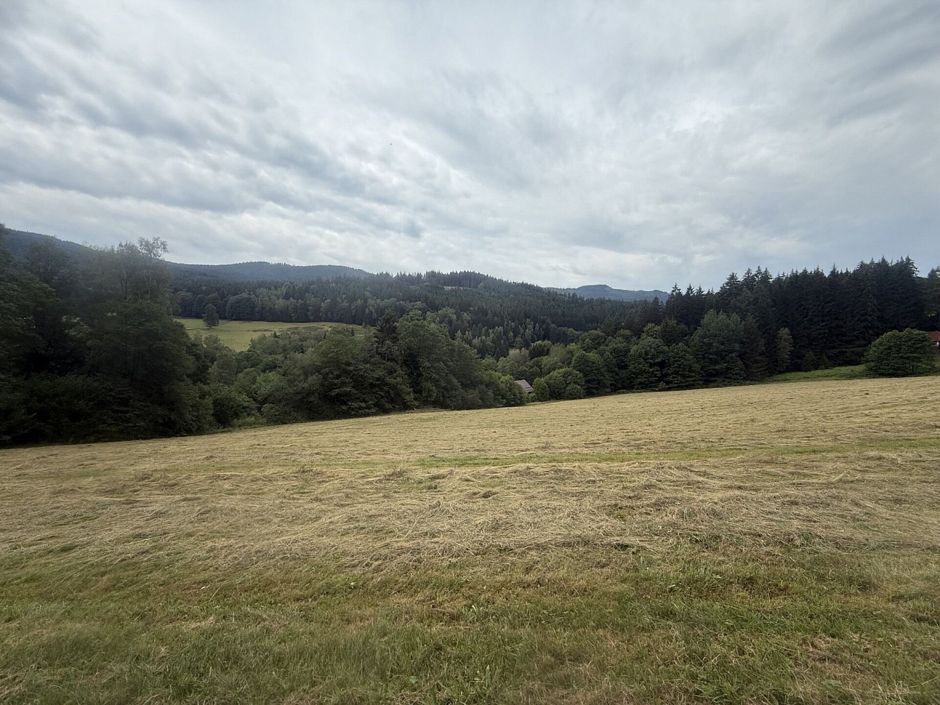 Prodej louky 84 928 m² – fotografie 3