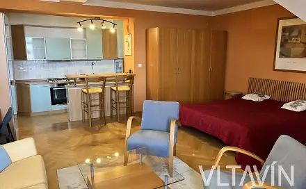 Pronájem bytu 1+kk 46 m²