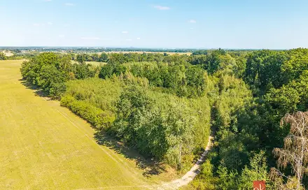 Prodej lesa 37 347 m², Pardubice - Pardubice-Staré Město
