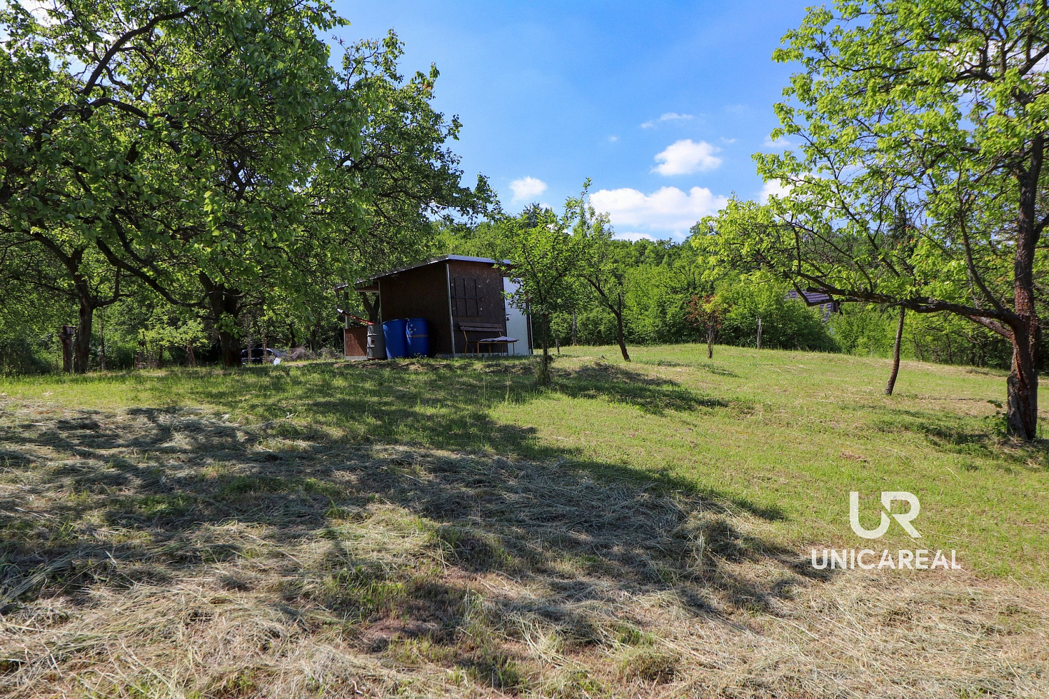 Prodej pole 3 851 m²