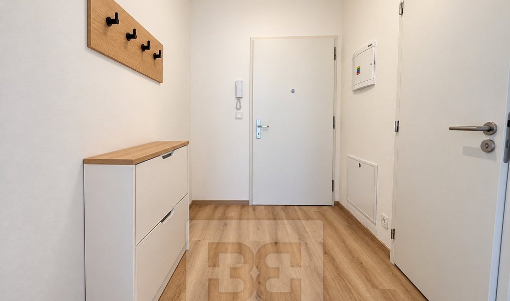 Pronájem bytu 1+kk 35 m², Brno – náhled fotky 8