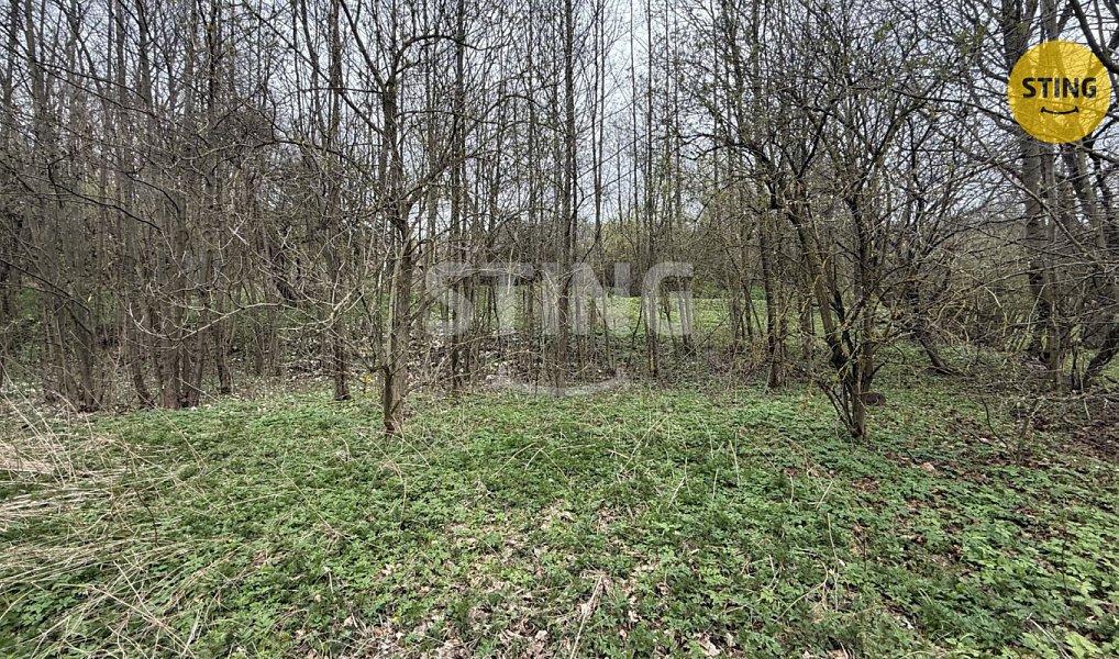 Prodej stavebního pozemku 2 221 m², Tvrdkov – náhled fotky 10