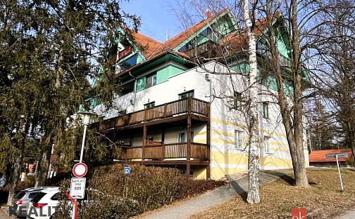 Prodej bytu 1+kk 46 m², Lipno nad Vltavou, okres Český Krumlov