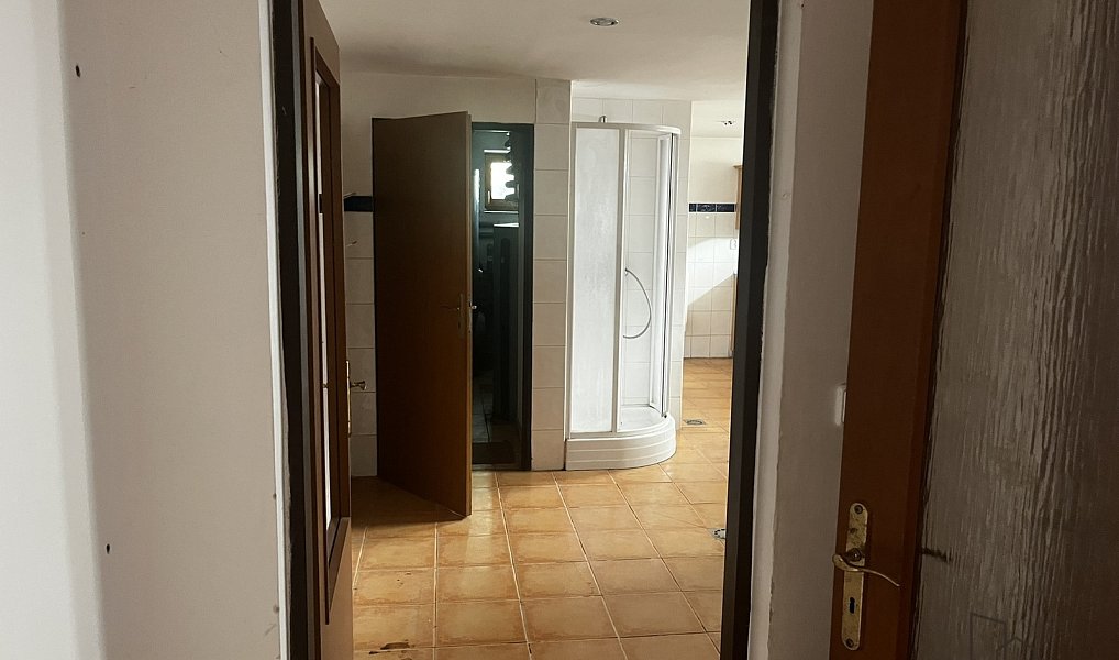 Prodej domu 160 m² s pozemkem 4 055 m², Podhradní Lhota – náhled fotky 46