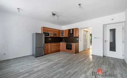 Prodej bytu 2+kk 42 m², Mlýnská, Jihlava