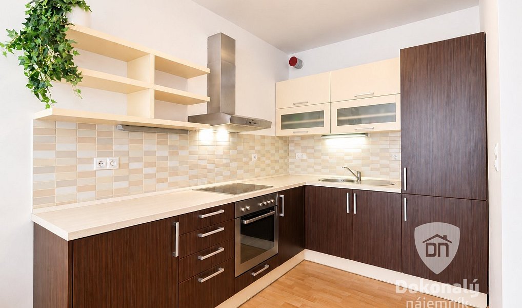 Pronájem bytu 2+kk 52 m², Praha – náhled fotky 5