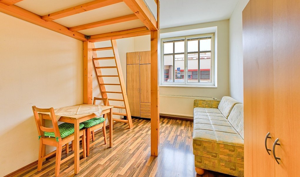 Pronájem bytu 1+kk 20 m², Brno – náhled fotky 7