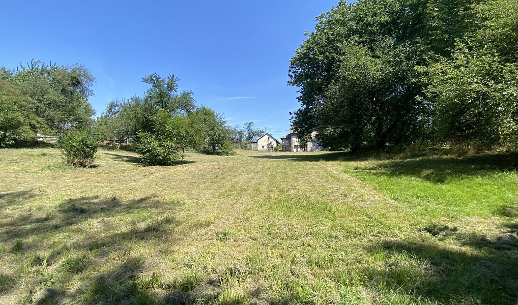 Prodej stavebního pozemku 2 500 m², Dolní Lutyně – náhled fotky 2