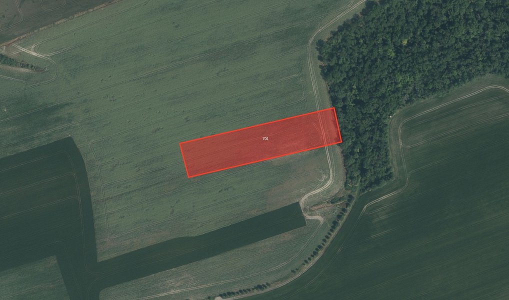 Prodej pole 8 556 m², Obora – náhled fotky 2