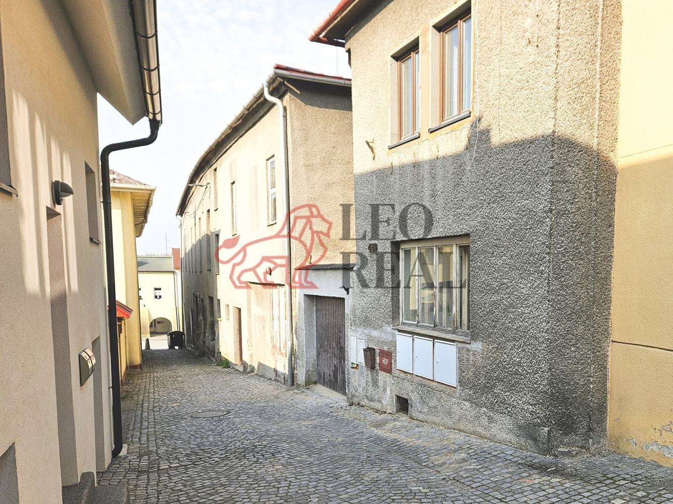 Fotka 5 z 13