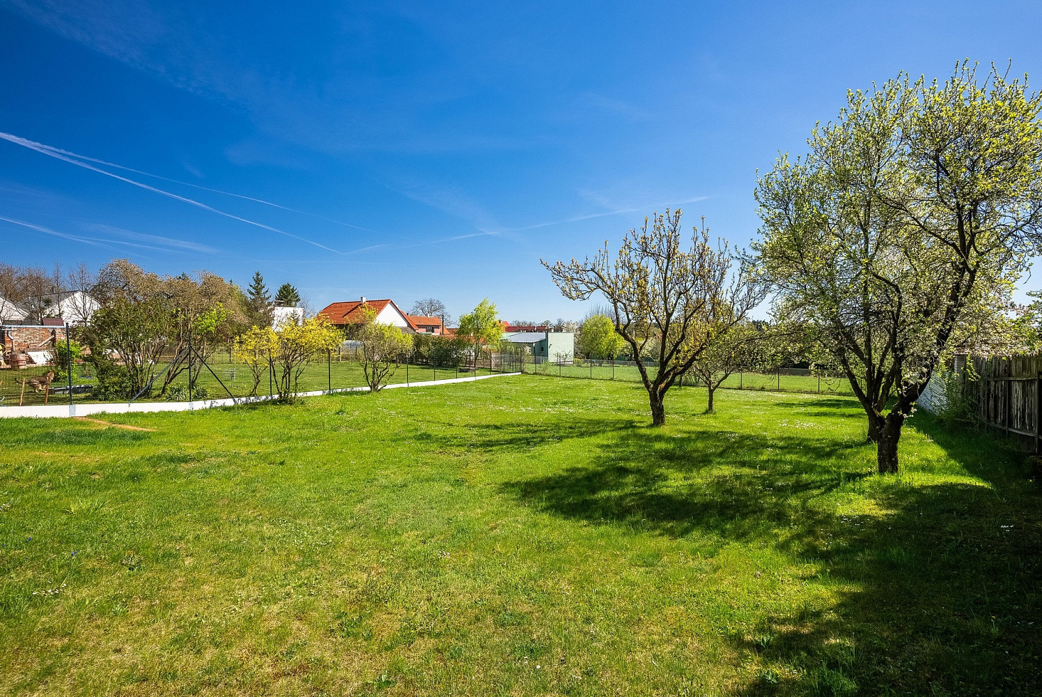 Prodej stavebního pozemku 970 m² — photo 4