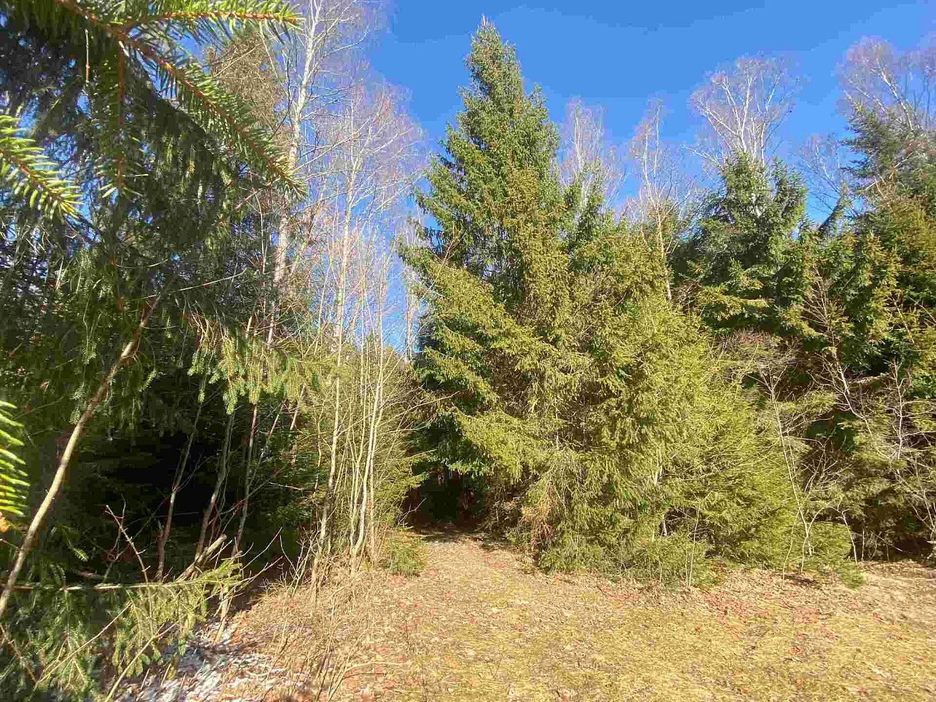 Prodej pole 1 644 m² – fotografie 3