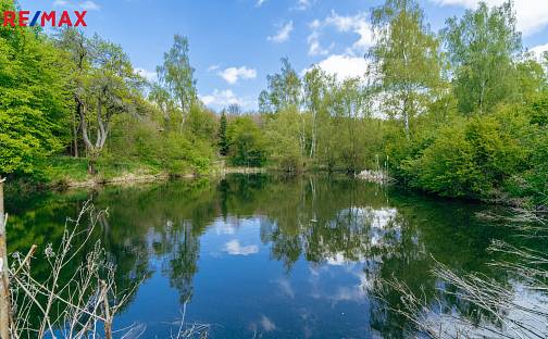 Prodej pozemku 28 310 m², Střítež, okres Žďár nad Sázavou