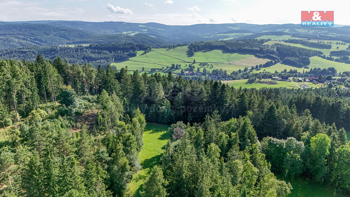 Prodej lesa 15 707 m² — photo 4