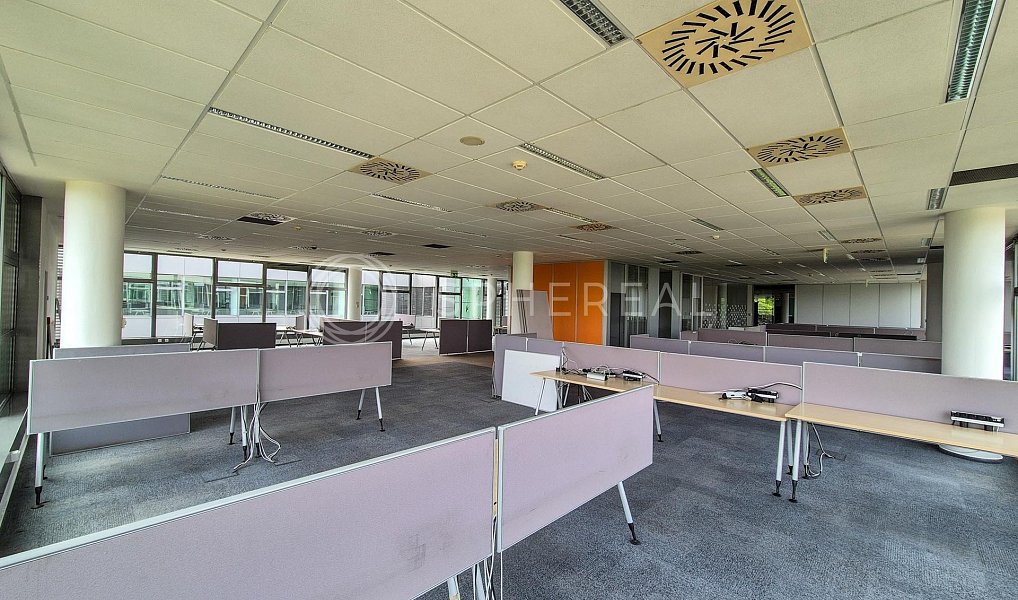 Pronájem kanceláře 2 000 m², Brno – náhled fotky 8