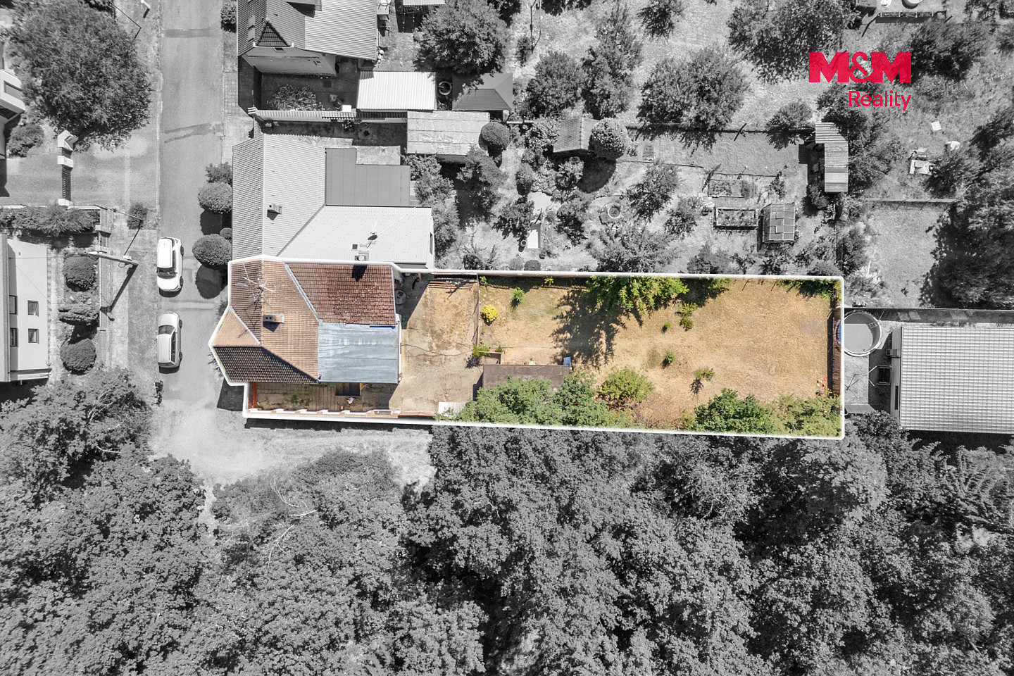 Fotka 24 z 28