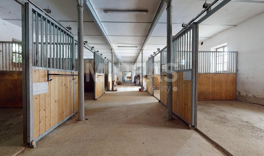 Pronájem zemědělského objektu 250 m², Strenice – náhled fotky 9