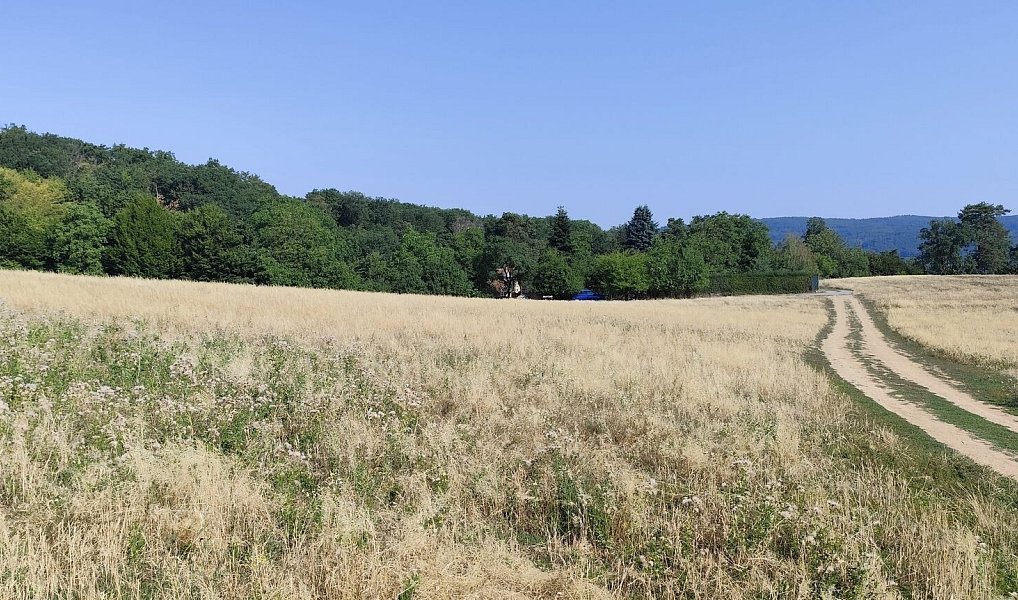Prodej stavebního pozemku 2 063 m², Brno – náhled fotky 6
