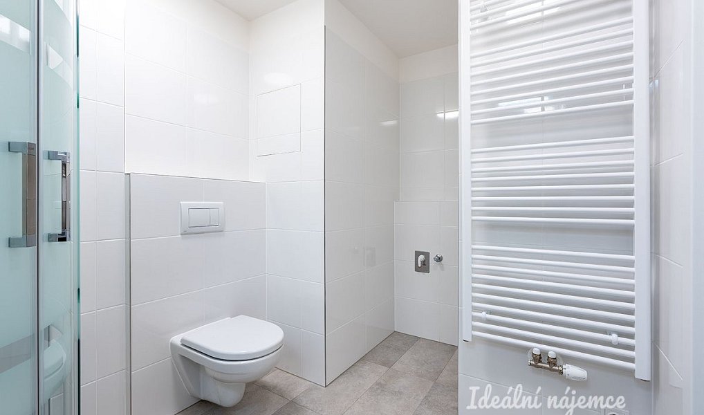 Pronájem bytu 1+kk 32 m², Praha – náhled fotky 8