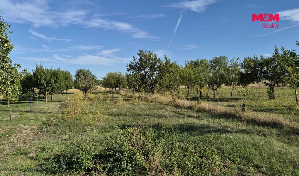 Prodej zahrady 636 m², Mikulčice – náhled fotky 2