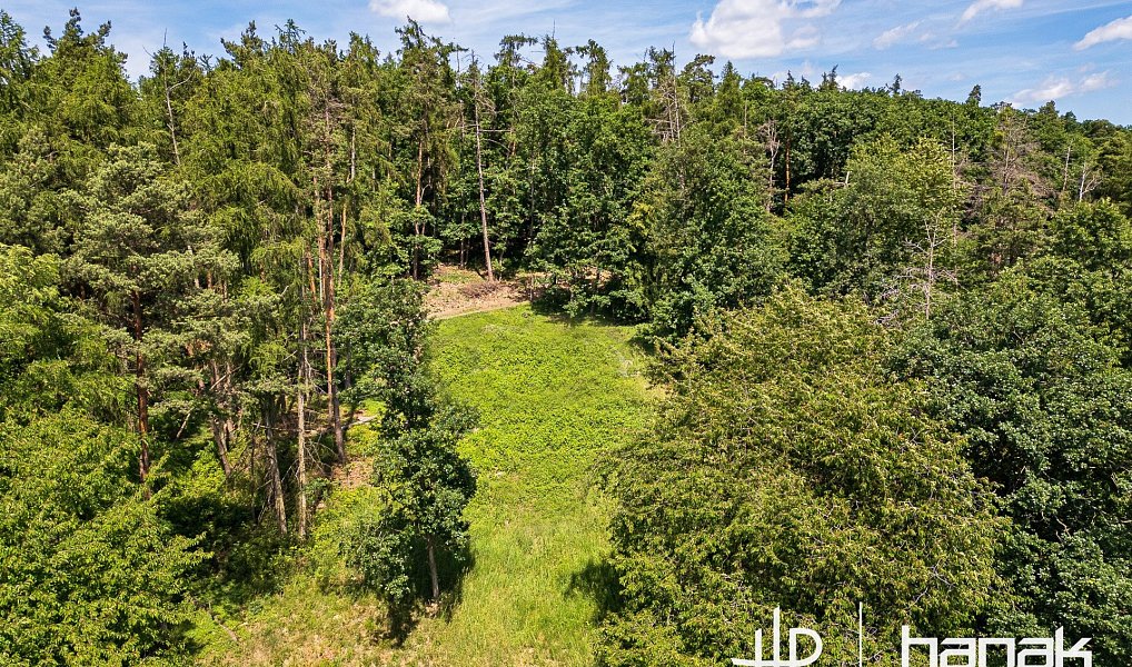 Prodej domu 127 m² s pozemkem 3 150 m², Hluchov – náhled fotky 9