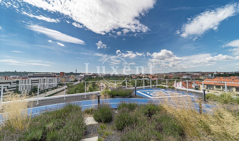 Pronájem kanceláře 1 764 m², Praha – náhled fotky 16
