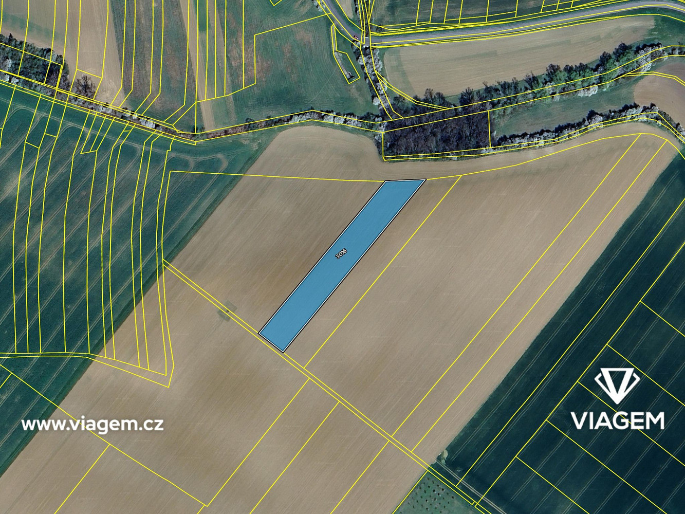 Prodej pole 953 m² – fotografie 4