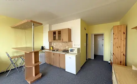 Pronájem bytu 1+kk 35 m², Lábkova, Plzeň - Skvrňany