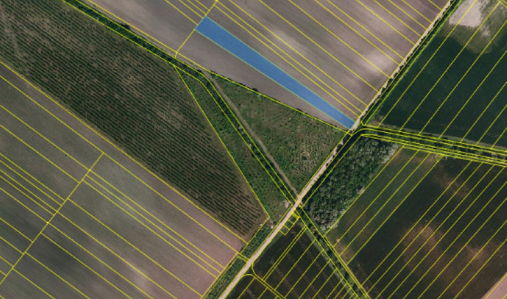 Prodej pole 4 600 m², Velké Bílovice – náhled fotky 3