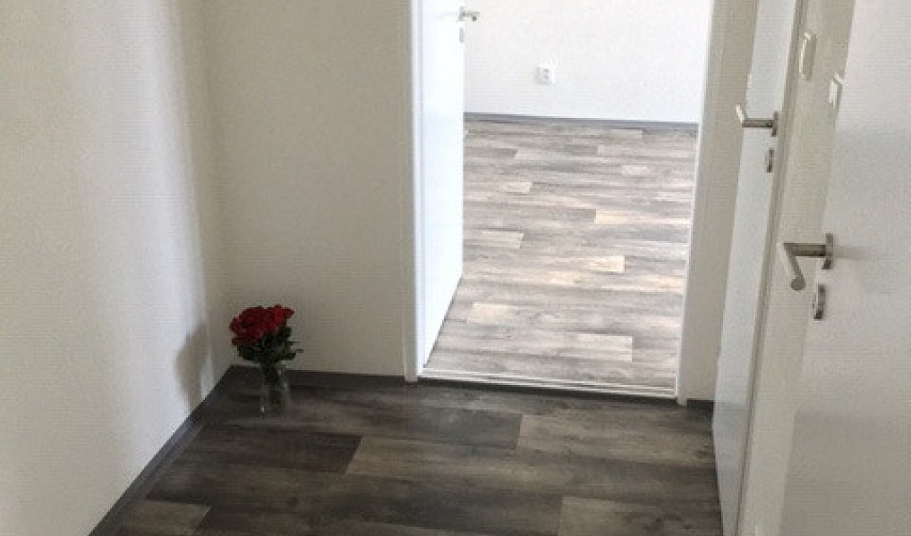 Pronájem bytu 2+1 54 m², Ostrava – náhled fotky 3