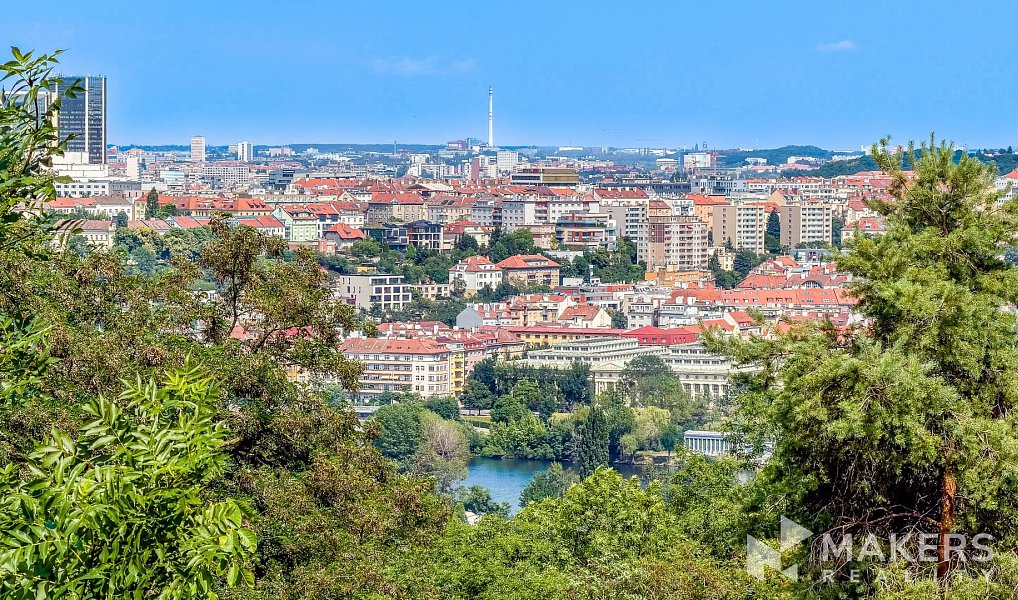 Pronájem bytu 3+kk 100 m², Praha – náhled fotky 4