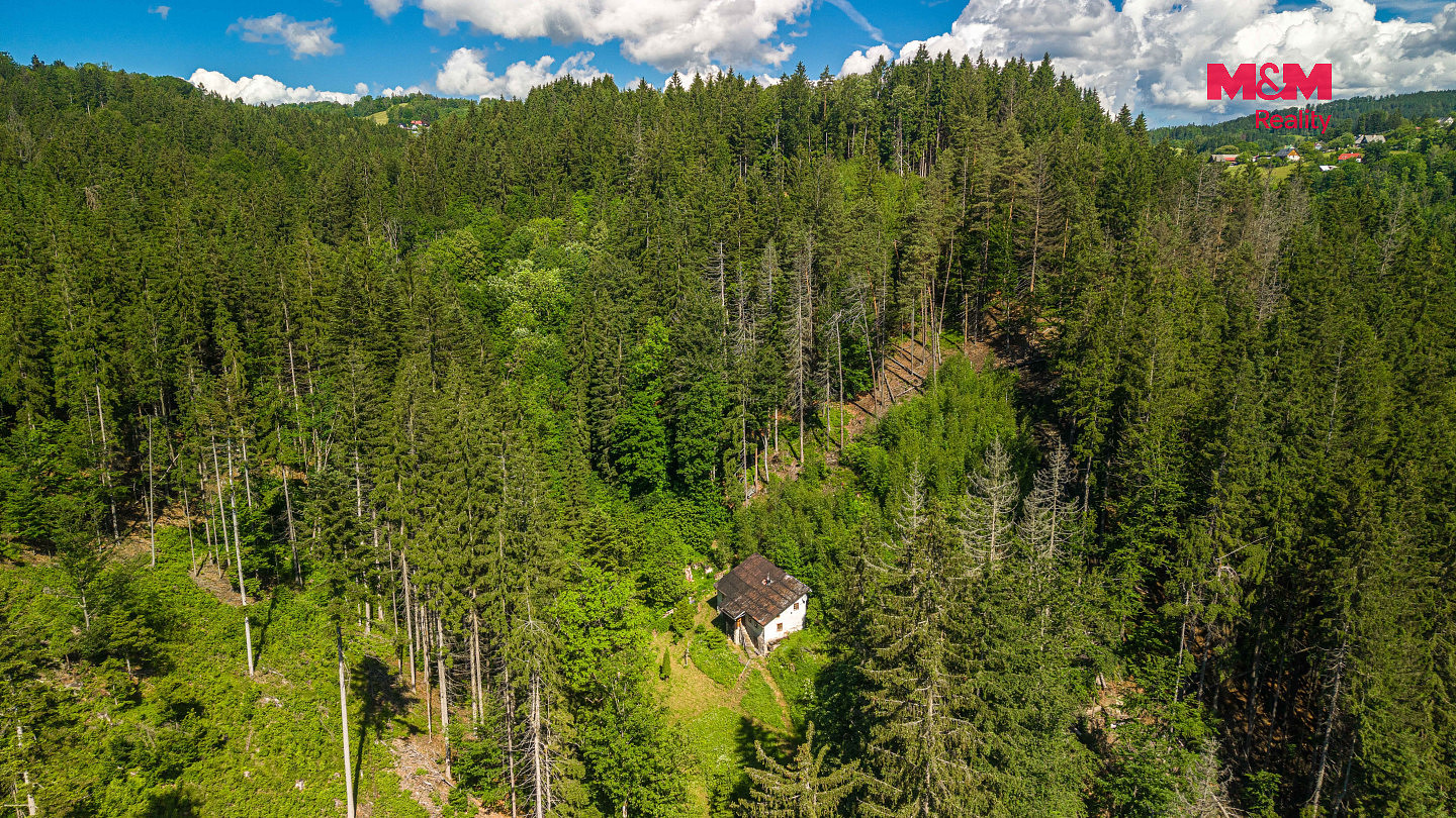 Prodej lesa 18 052 m² — photo 2
