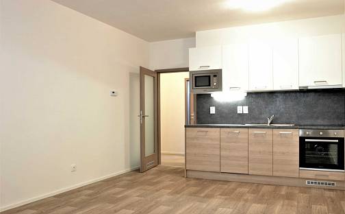 Prodej bytu 1+kk 40 m², Turgeněvova, Brno - Černovice