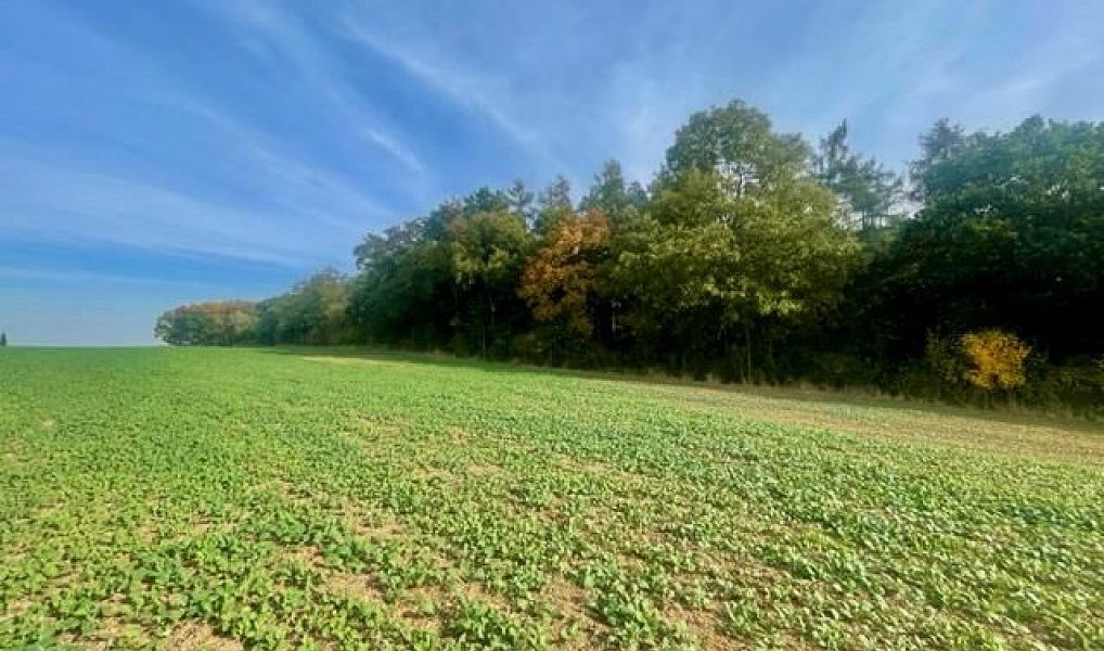 Prodej pole 24 066 m², Praha – náhled fotky 10